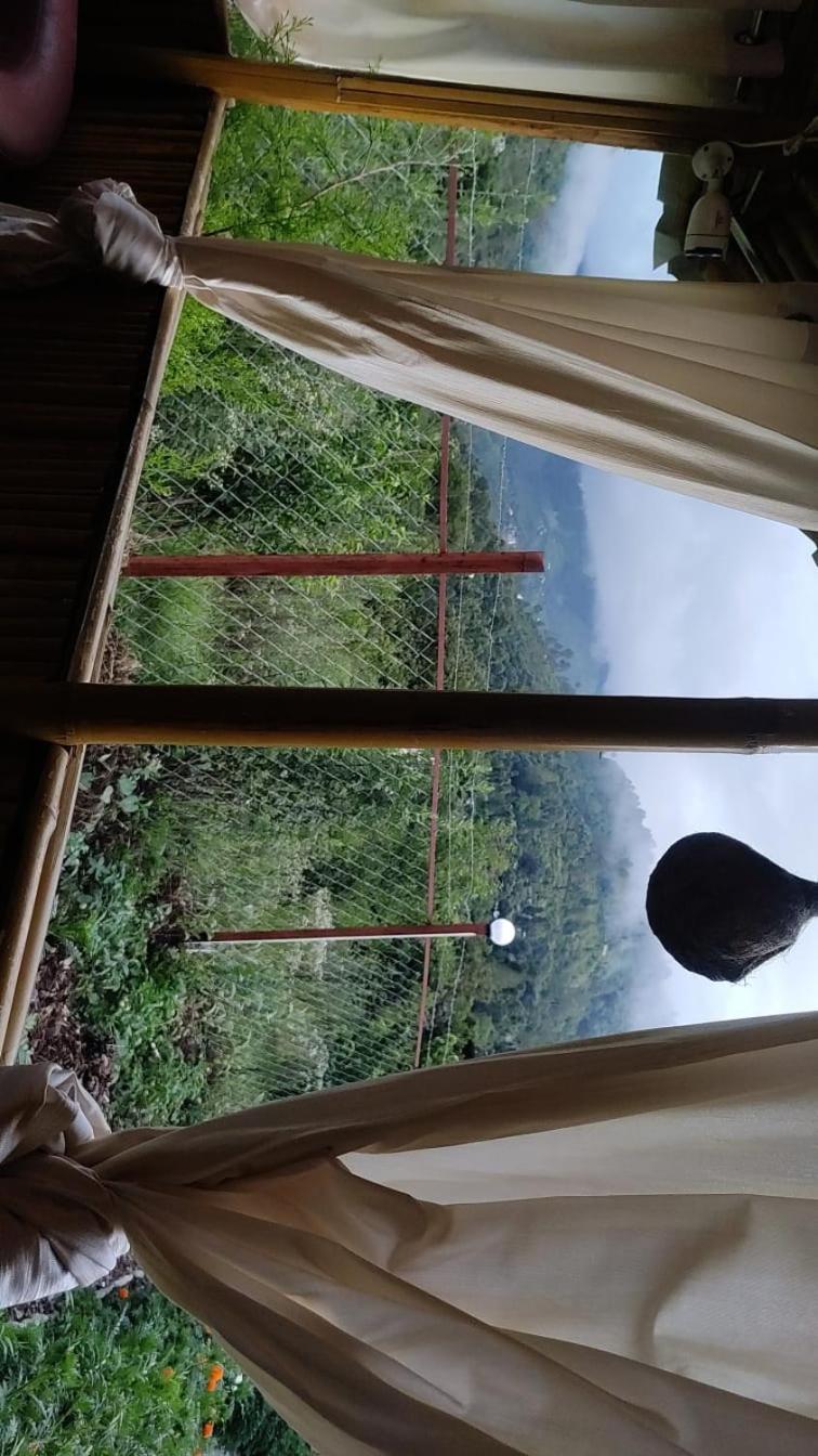 Krishna Kutir, Talla Ramgarh By The Meditating Society 외부 사진