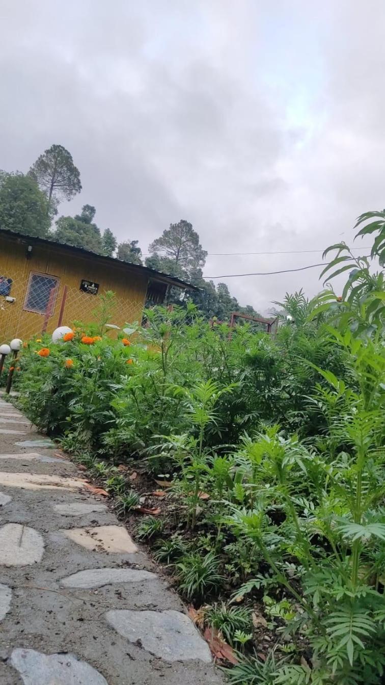 Krishna Kutir, Talla Ramgarh By The Meditating Society 외부 사진